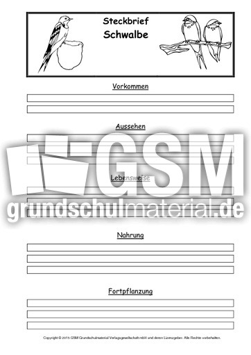 Steckbriefvorlage-Schwalbe.pdf